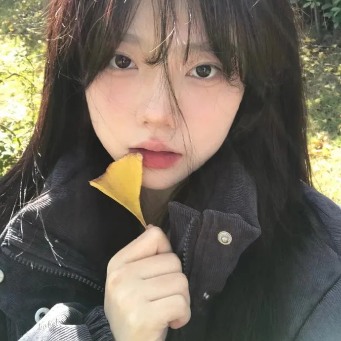信长的忍者